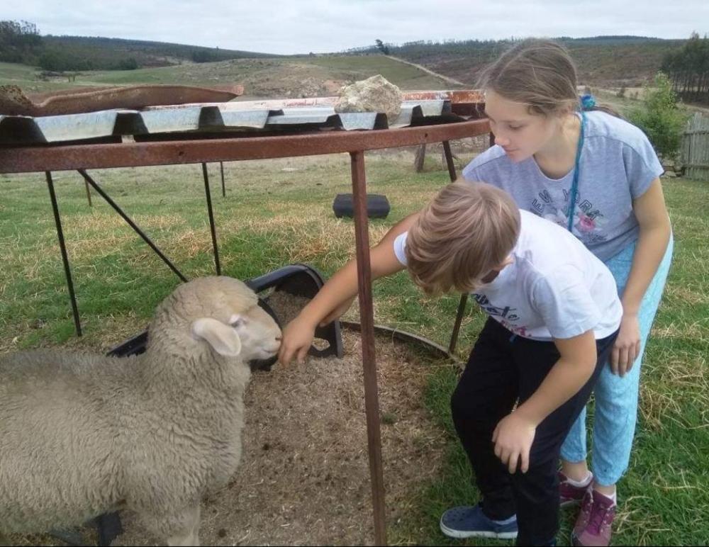 Rocks & Roses Farm Stay Lochiel Экстерьер фото