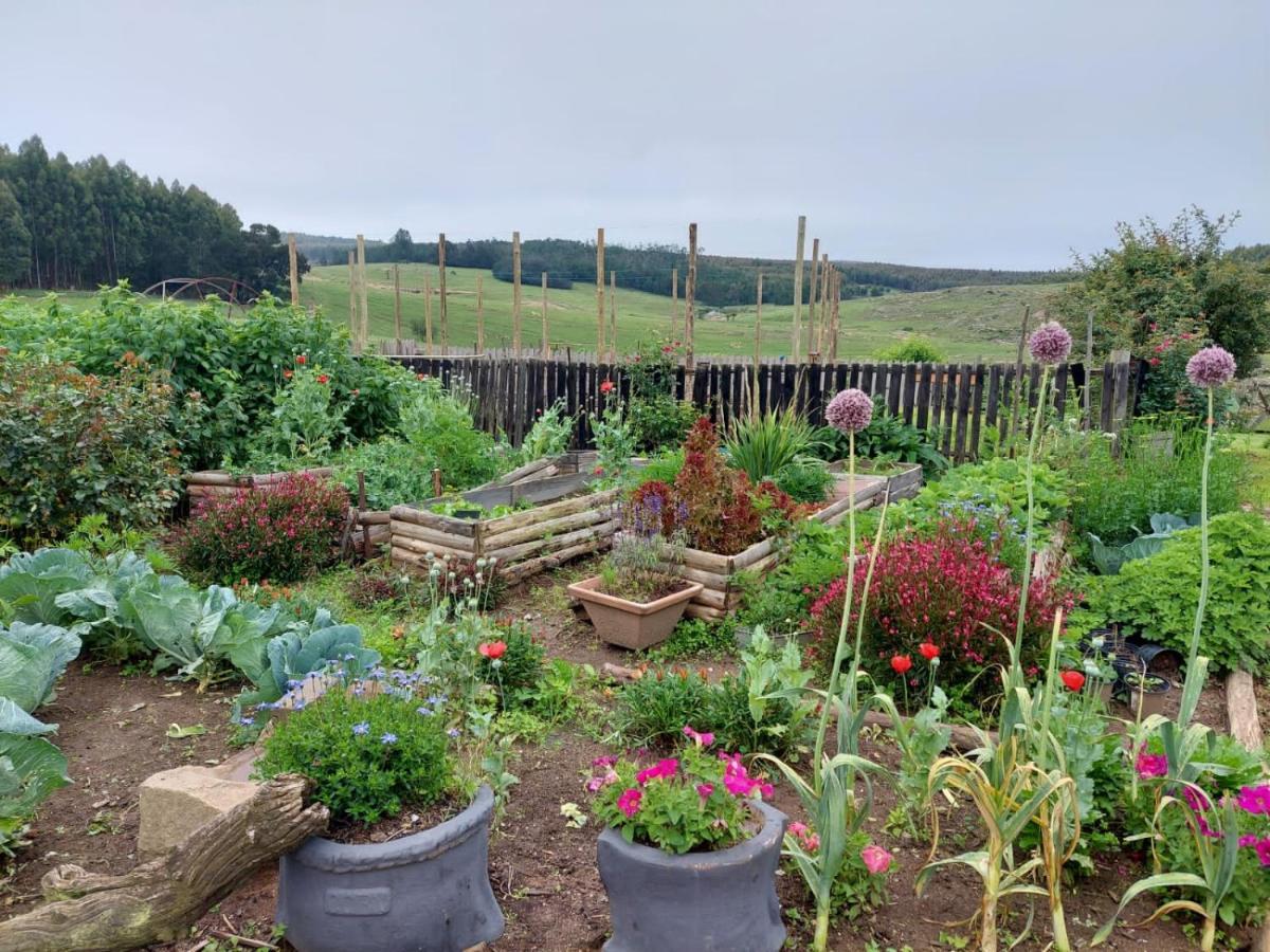 Rocks & Roses Farm Stay Lochiel Экстерьер фото