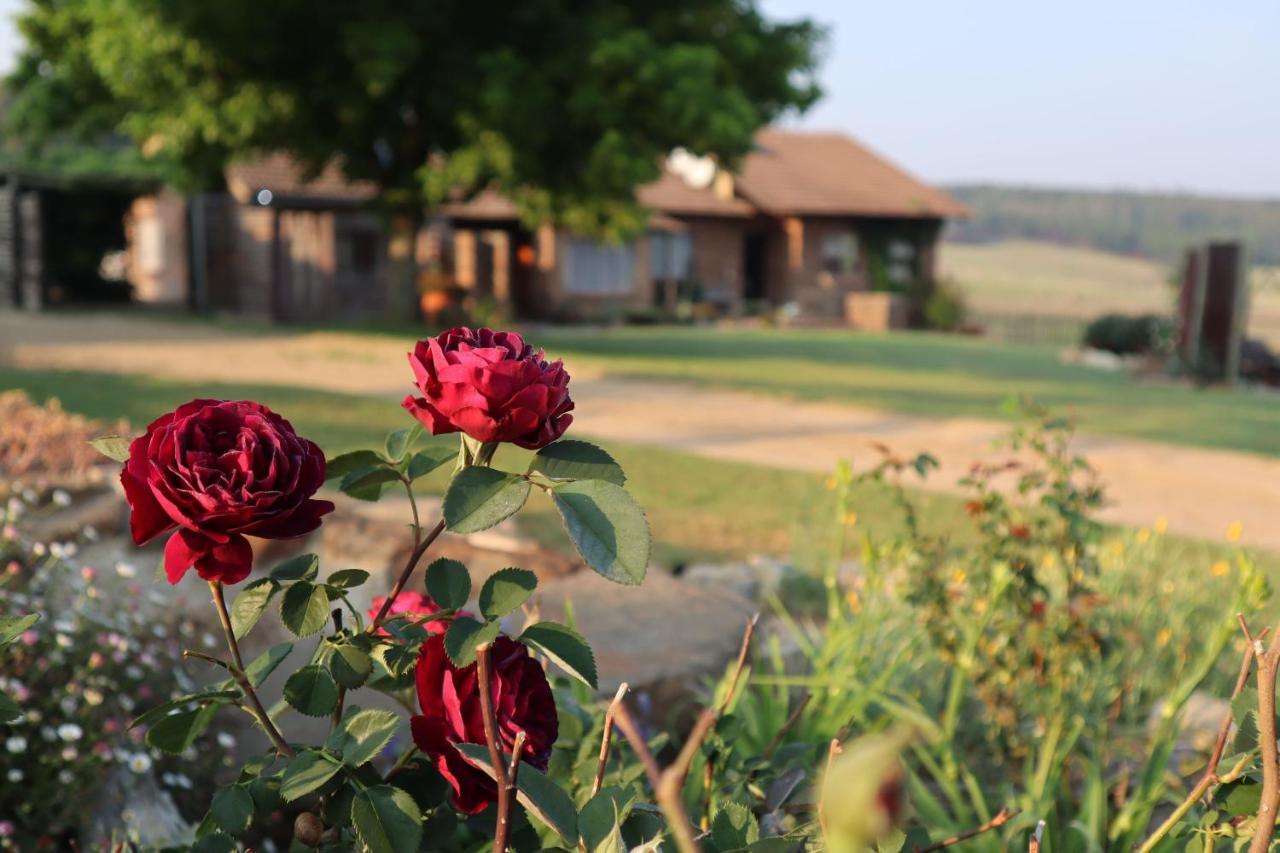 Rocks & Roses Farm Stay Lochiel Экстерьер фото
