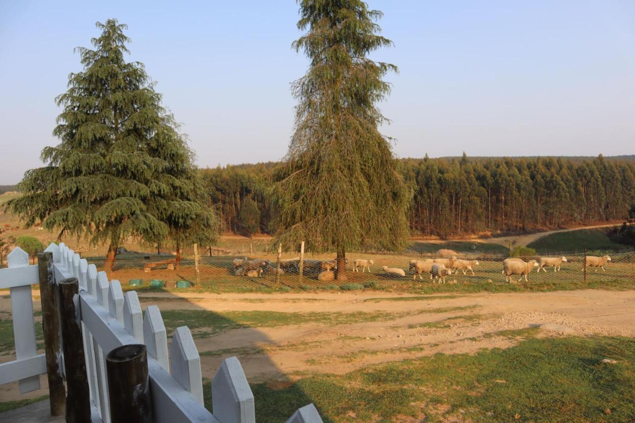Rocks & Roses Farm Stay Lochiel Экстерьер фото