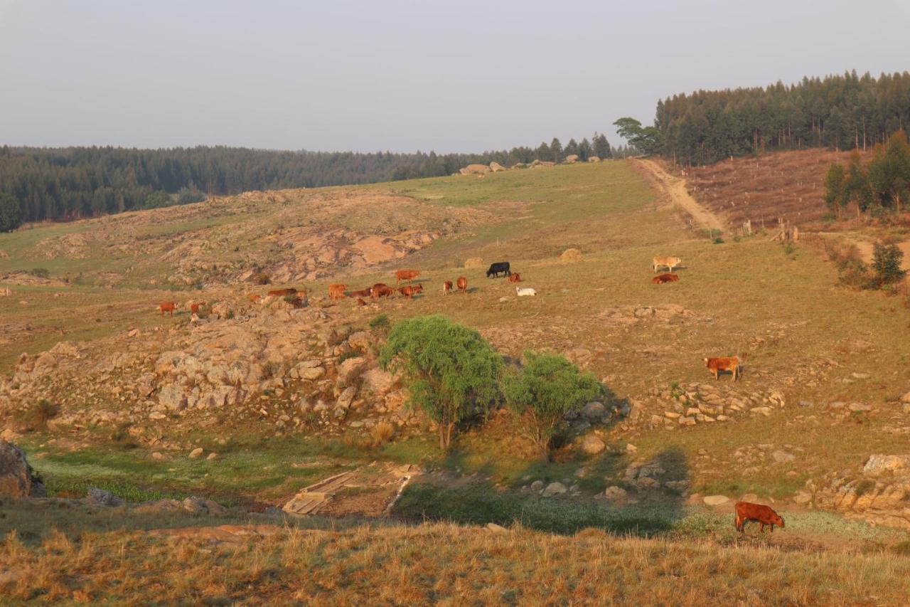 Rocks & Roses Farm Stay Lochiel Экстерьер фото